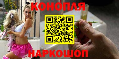 стаф Кунгур