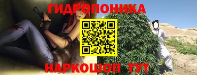 стаф Кунгур