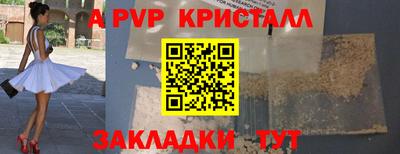 стаф Кунгур